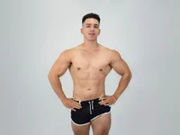 Модель Liam_forest_