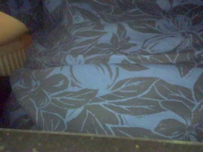 Leo200514Live Webcam