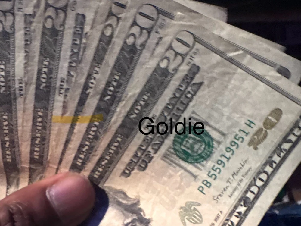 goldenmula- offline chatrum