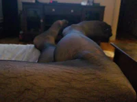 Модель pantyhoselover54