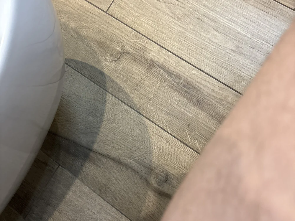 dycky10097's most recent online preview