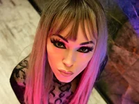 Модель TigerBlazeFoxyMonkey