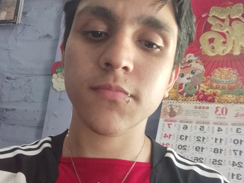 Doll_plastin cam model