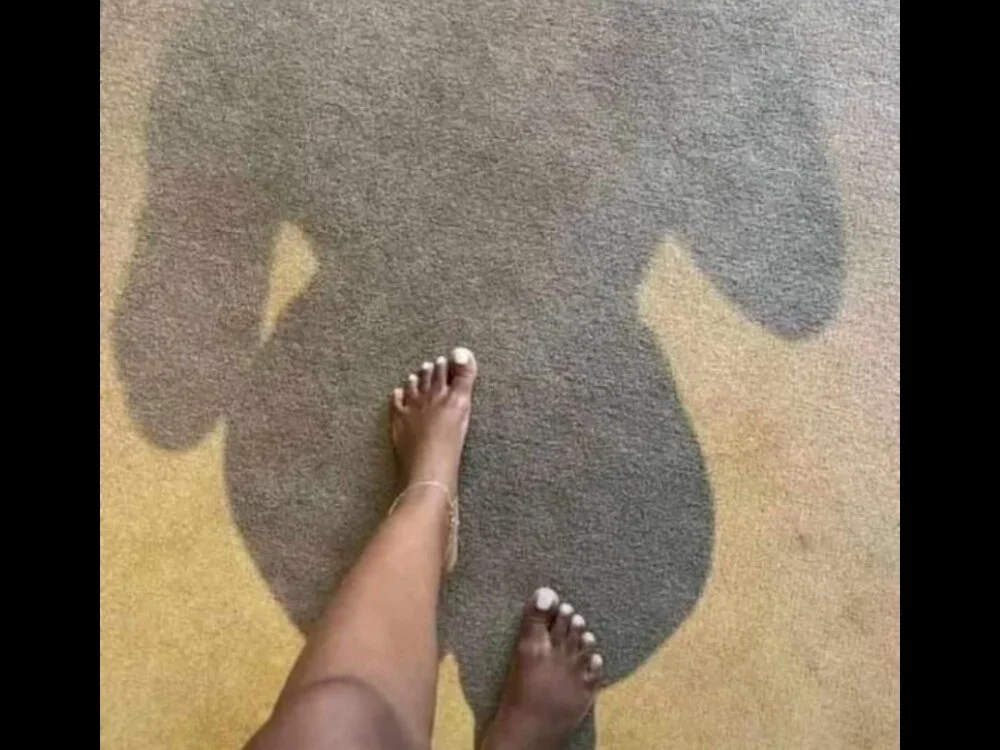 Parisdick_fr 离线XXX聊天