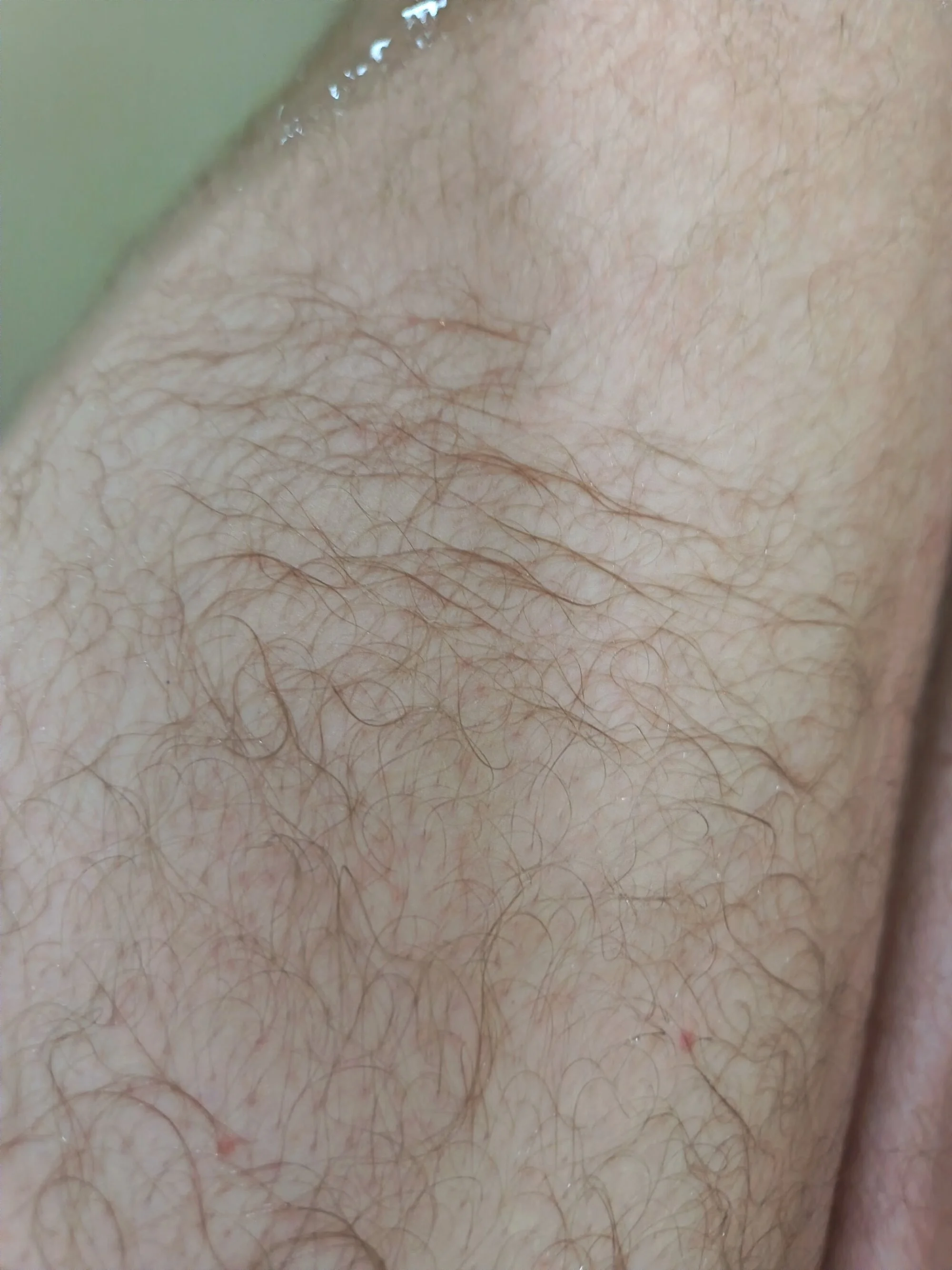 hornydick024231