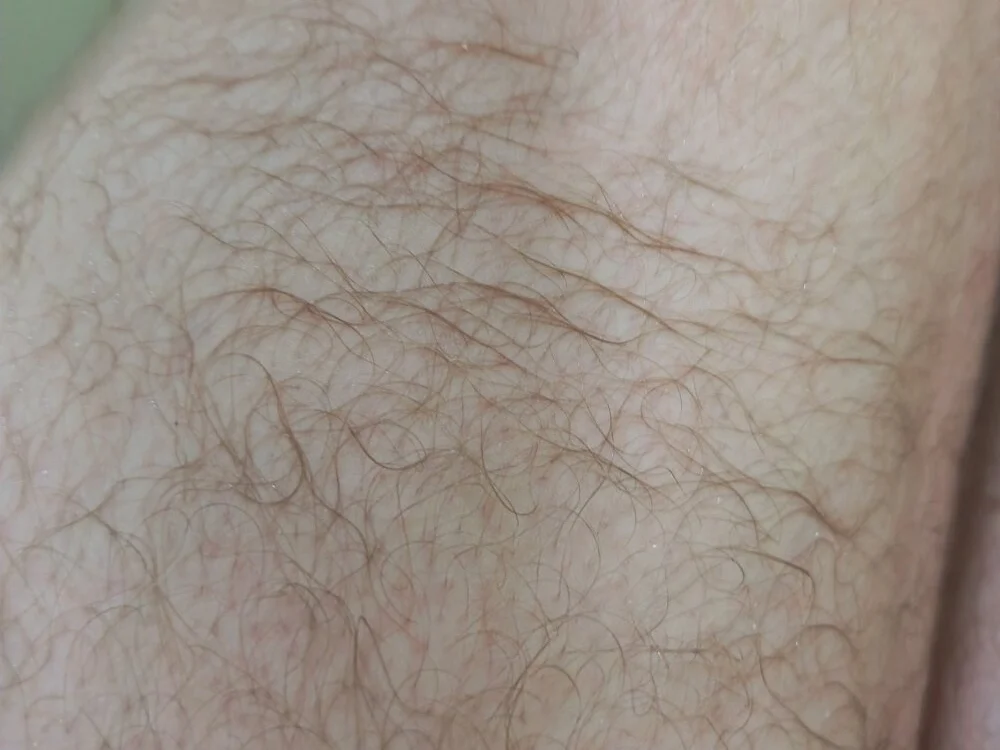 hornydick024231 오프라인 XXX 채팅