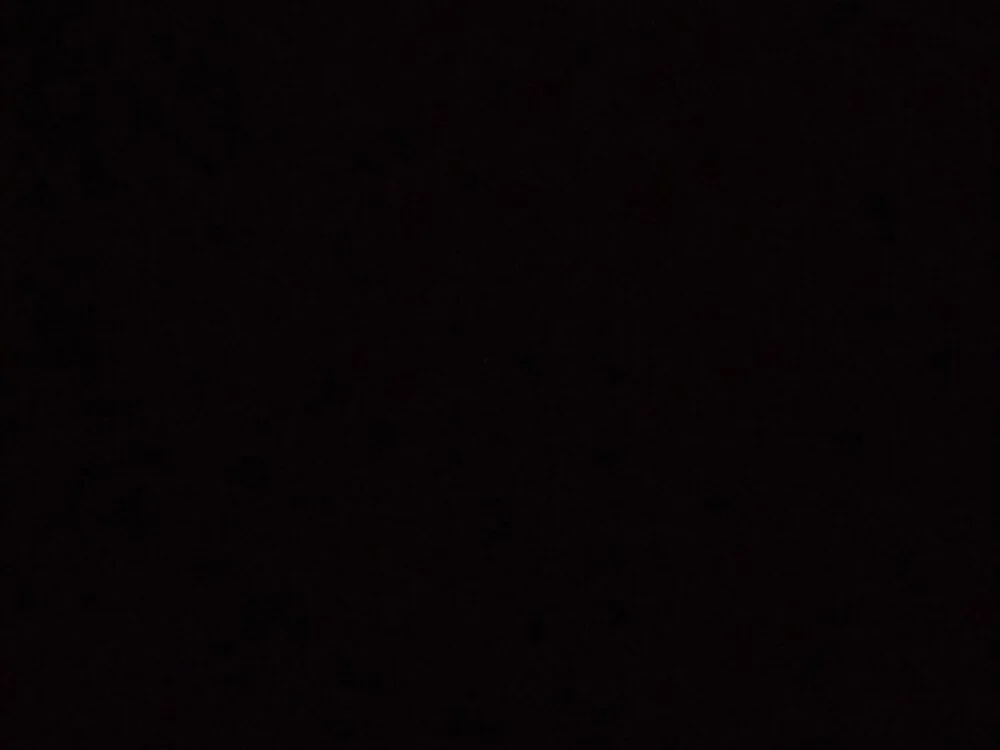 epicene_bullock cam model