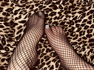 Kiyara_pied
