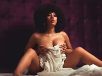 Модель kendall_coxx