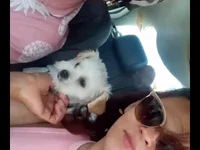 Модель ExoticVibes69