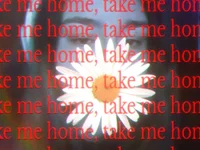 Chat +18 de RiotKitten1 ao vivo