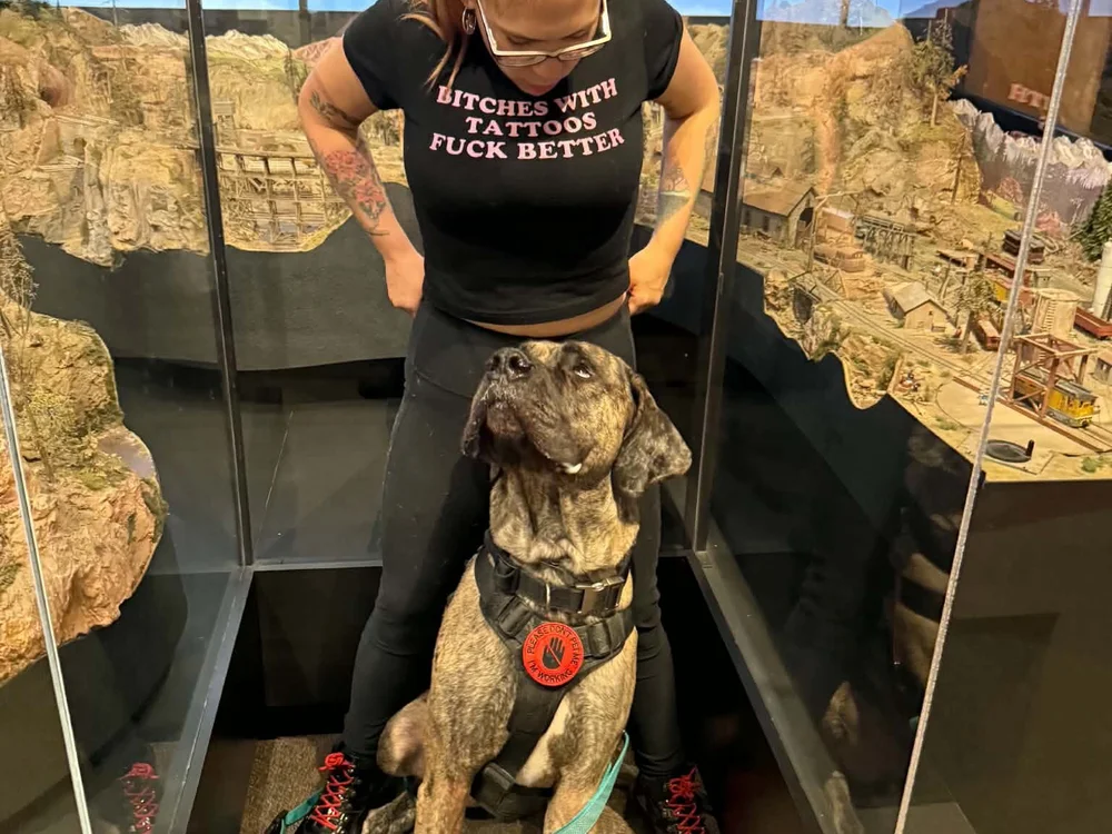 lilbabieplays cover photo