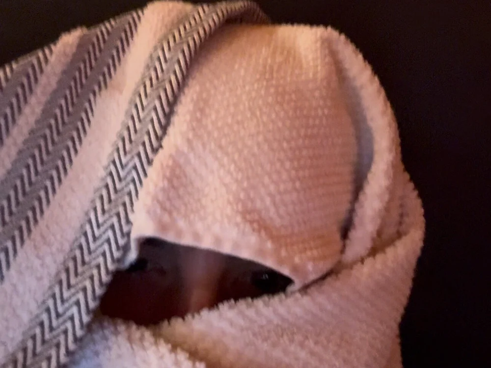 دردشة fahlkm55 الجنسية دون اتصال