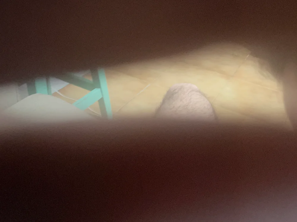 suprem26 Chat XXX offline