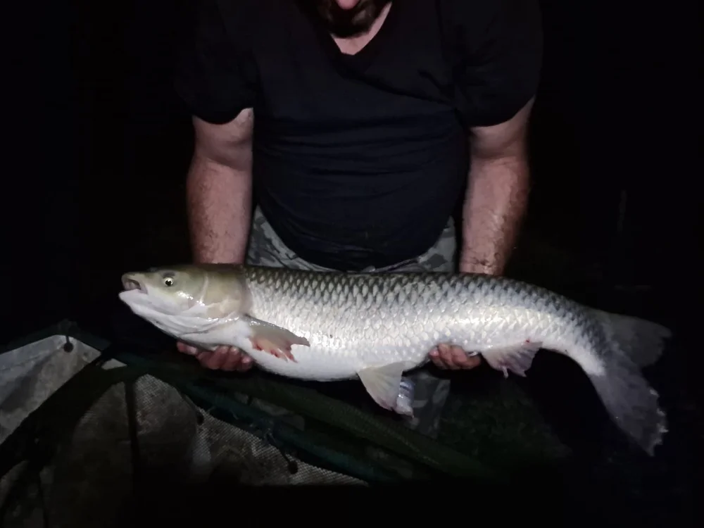 robertinio07's Offline XXX Chat