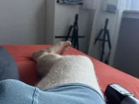 JimmyYayaa