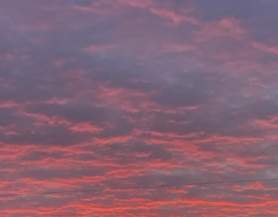 Nicky_neal's Offline XXX Chat