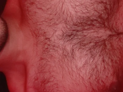 Brownie_peak Male C2c Cam Sex