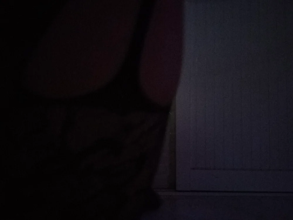 nhinhi2000 離線 XXX 聊天