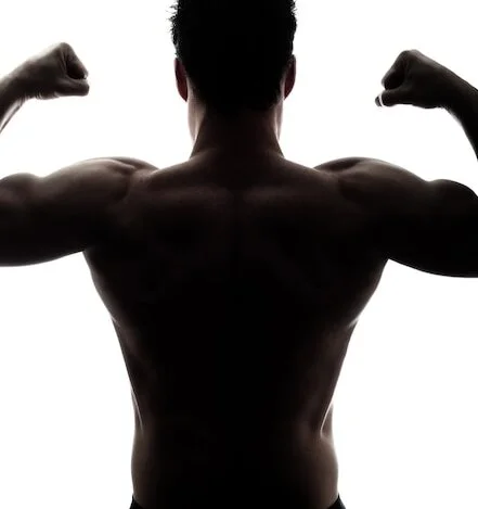 fanaticoembct – Offline XXX chat