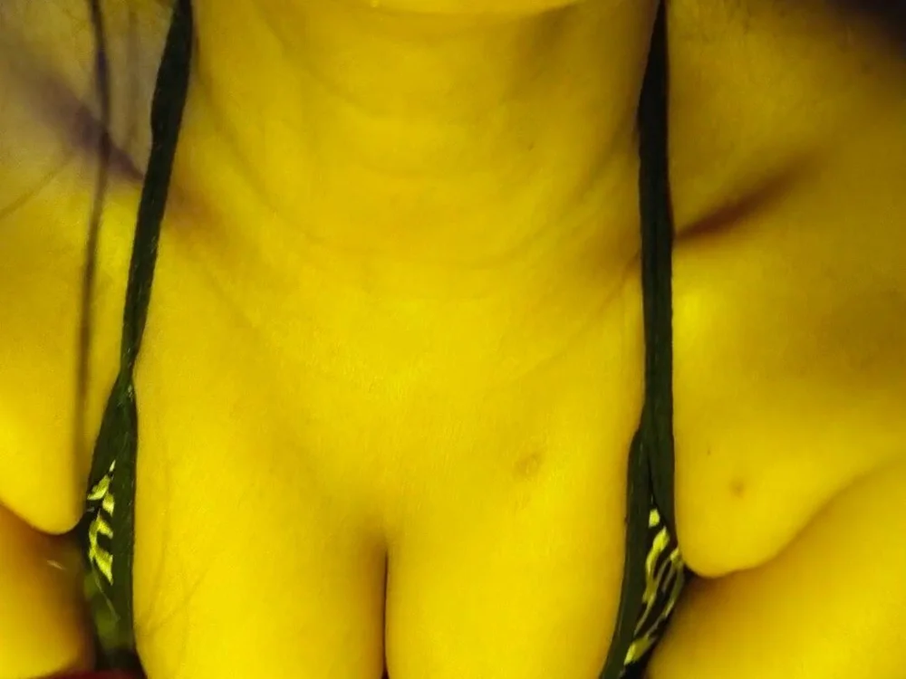 SHIVANI_PVT cam model