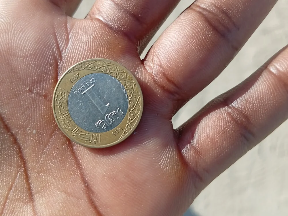 دردشة ti_95 الجنسية دون اتصال