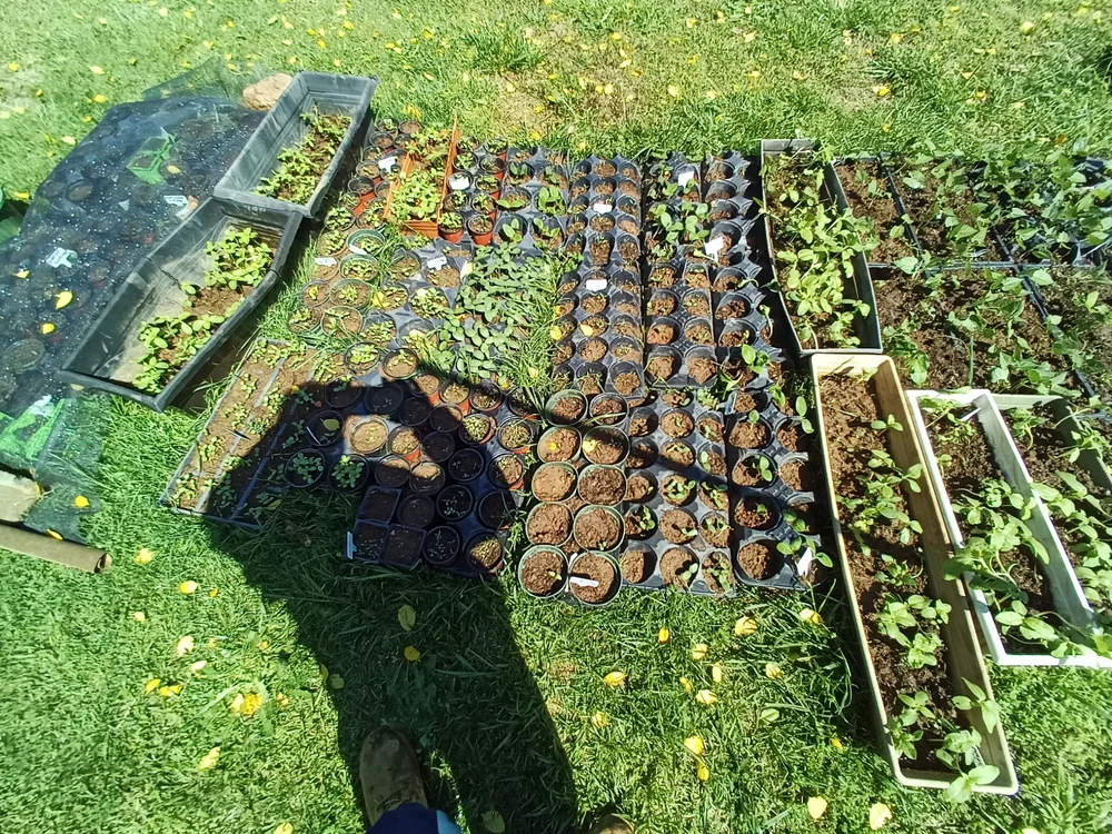 countrycowboy1965 Offline XXX-chat