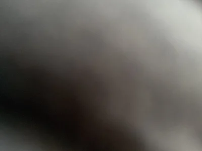 Profile of alexxbottom