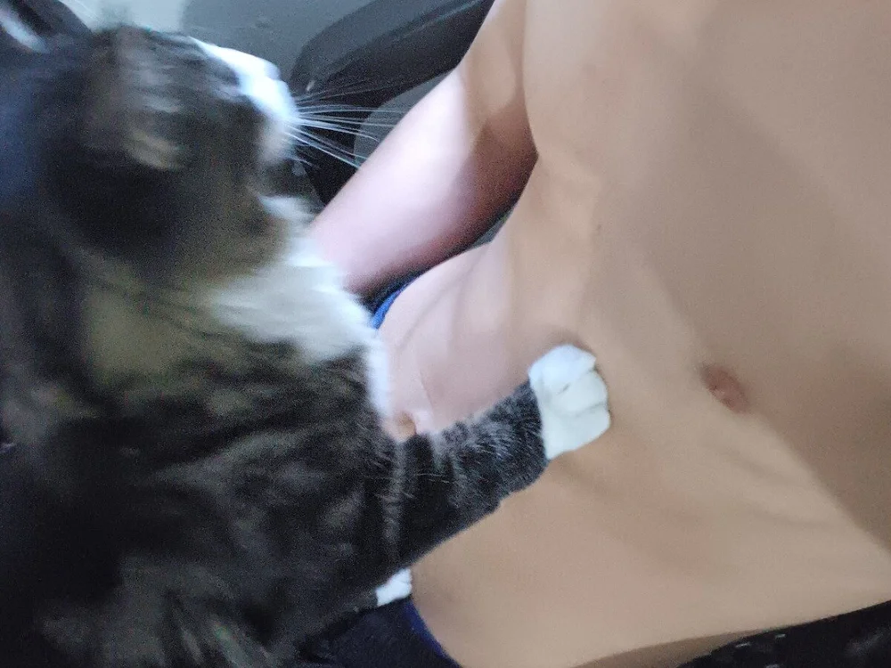 normalboy16 Offline XXX Chat