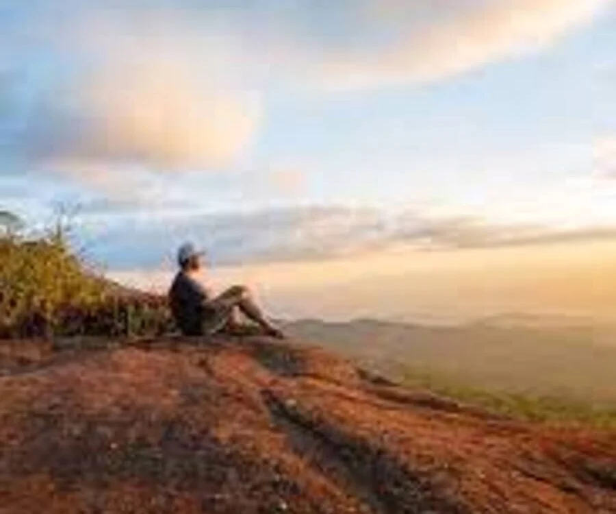 Offline XXX chat niall_falcon