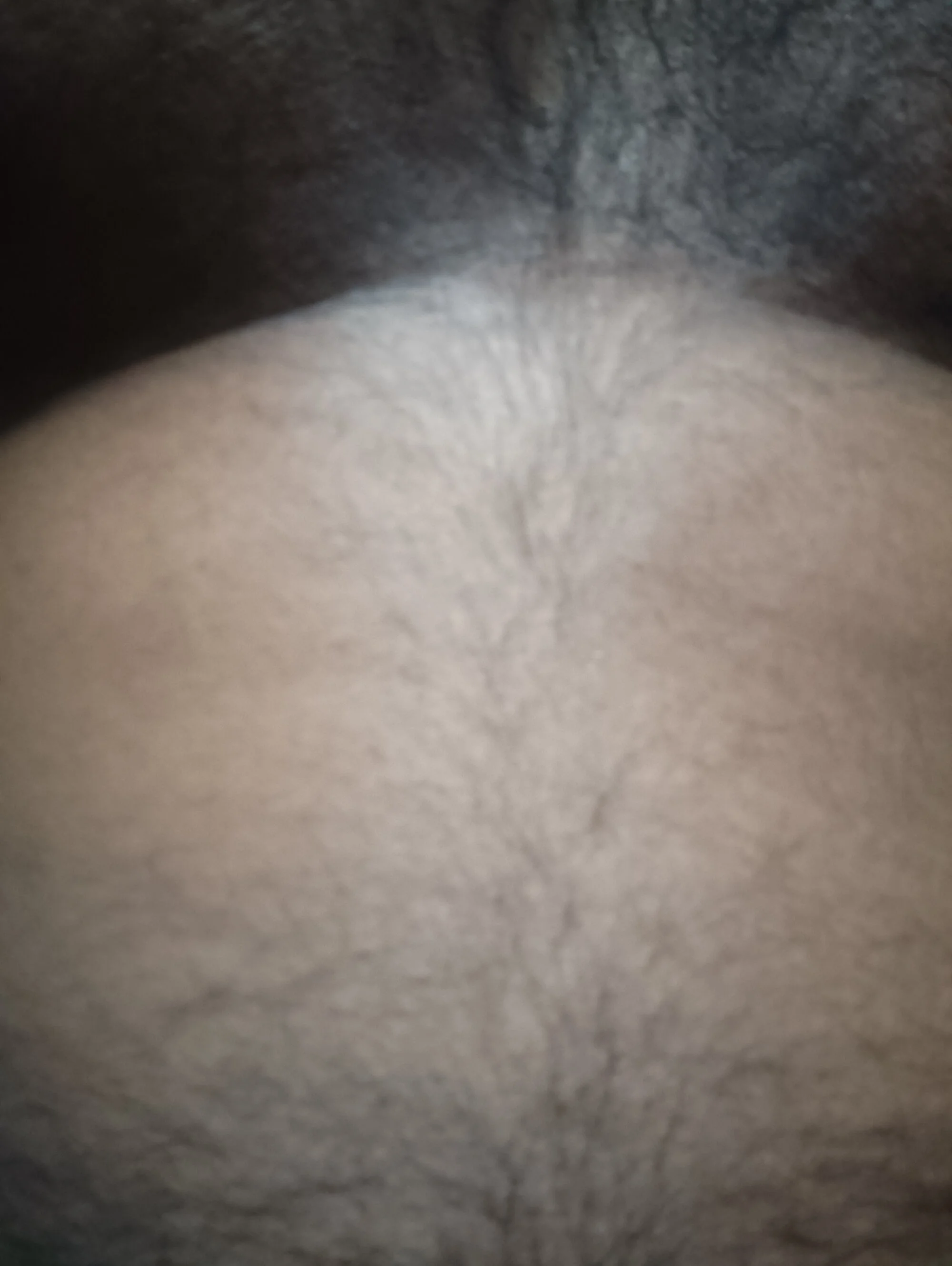 leobrown2904