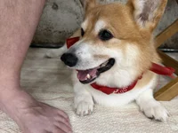 samstretchxxx