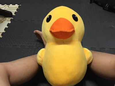 h4779150 오프라인 XXX 채팅