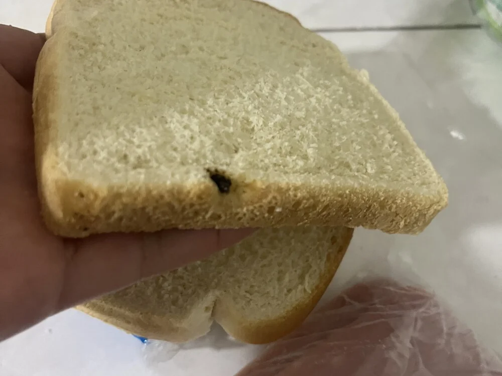 gael12450 Offline XXX-Chat