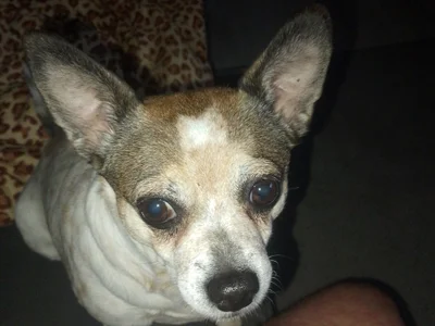 Bigasshole34@xh