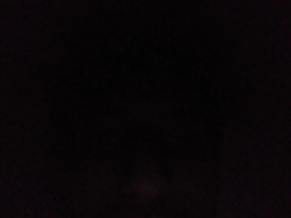 21bass Offline XXX Chat