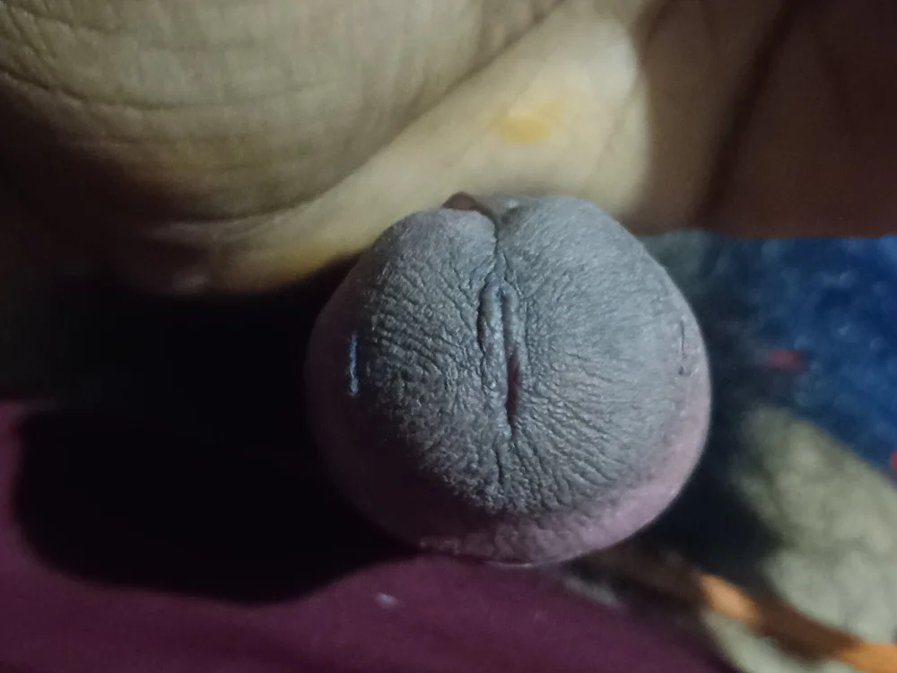 big_dick_lick0077 cover photo