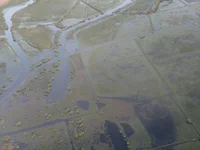 raph_oo's webcam live show