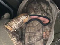 bobbysbone's webcam live show