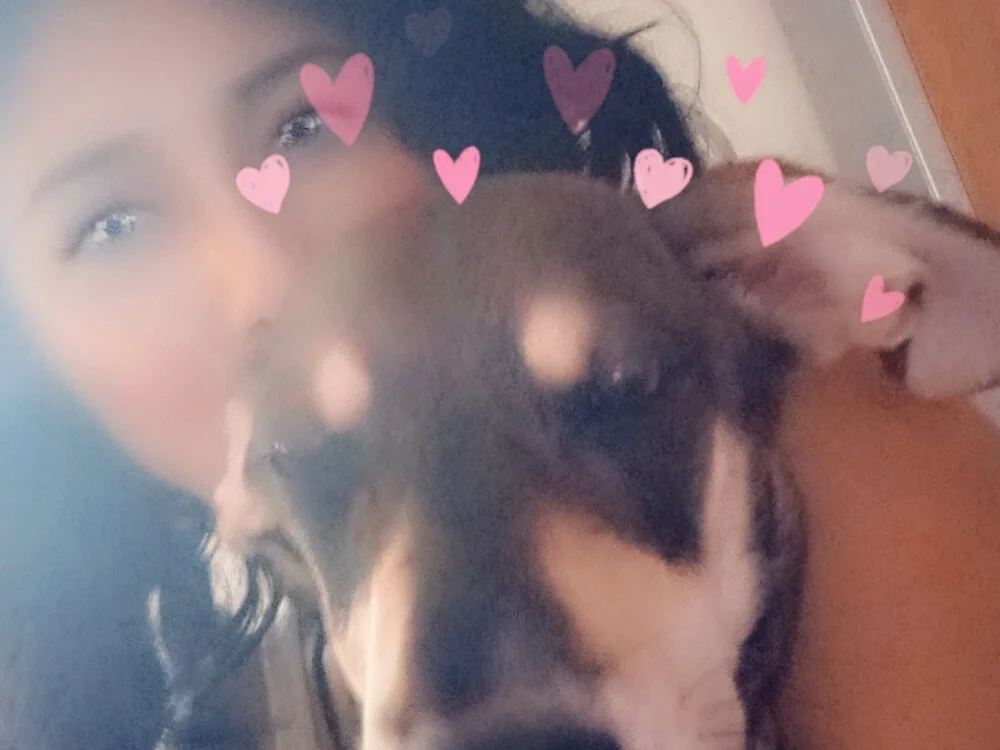 Offline XXX chat leagloop