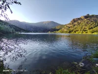 Модель Xcan