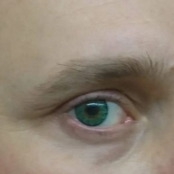 Offline XXX chat pitrsgayhotboy