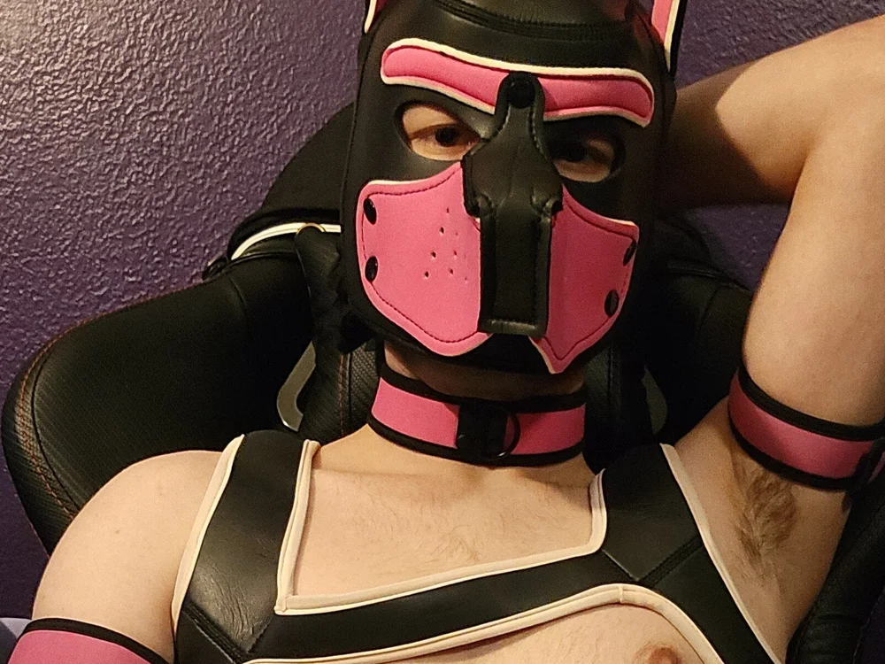Thick_cut_pup offline chatrum