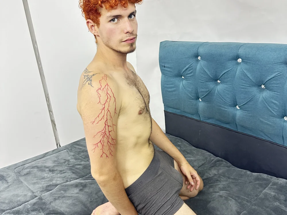 ห้องแชทออฟไลน์ของ Andrew_fox_col