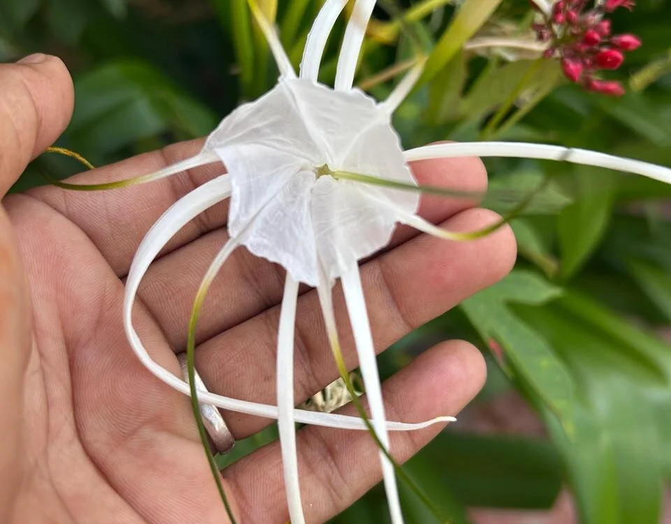 rjkr953's Offline XXX Chat