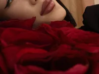 Модель lee_che