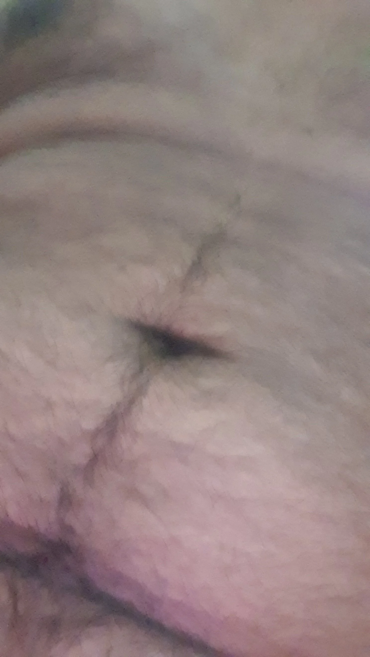Neel_Neel