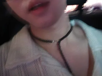 bebikoie3778