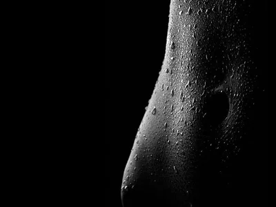 brian_ocockner profile