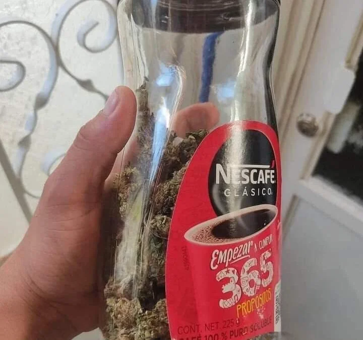 Santiagoelechero Obrolan XXX Offline